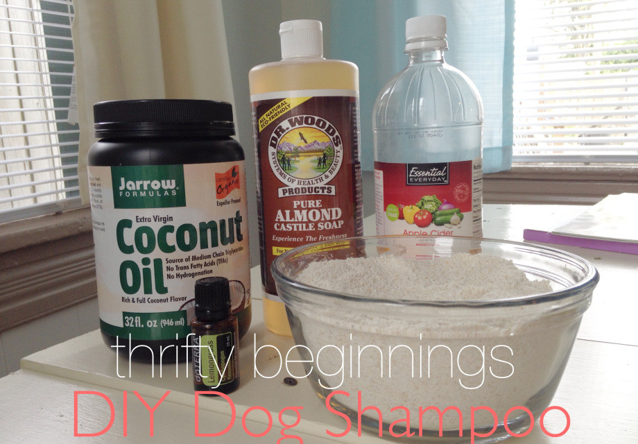 DIY Dog Dry Shampoo
 DIY Homemade Shampoos for Dogs