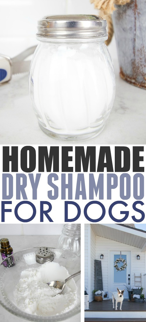 DIY Dog Dry Shampoo
 Homemade Dry Shampoo for Dogs