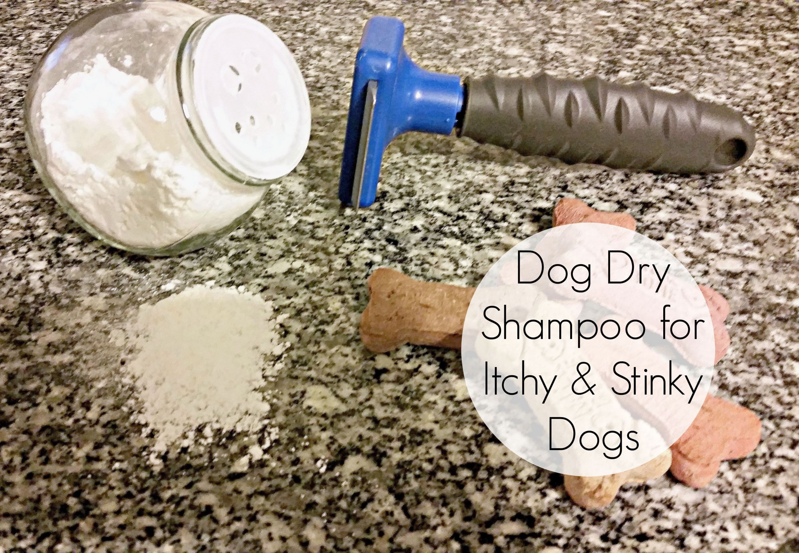 DIY Dog Dry Shampoo
 Dry Shampoo For Itchy & Stinky Dogs