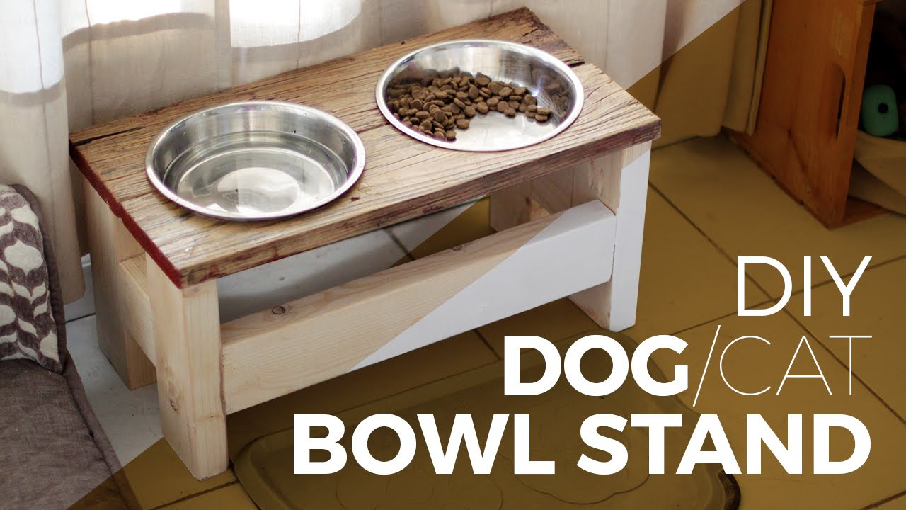 DIY Dog Food Bowl Stand
 How to make a Dog Bowl Stand DIY or Cat