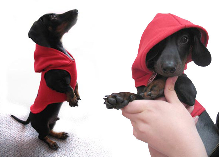 DIY Dog Hoodie
 5 Cute and Kind Dog Clothing Sew Projects