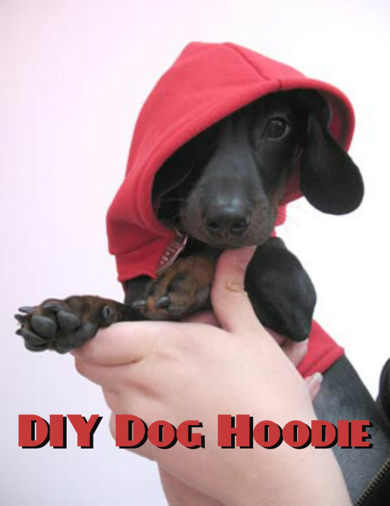DIY Dog Hoodie
 DIY Dog Hoo – iSeeiDoiMake