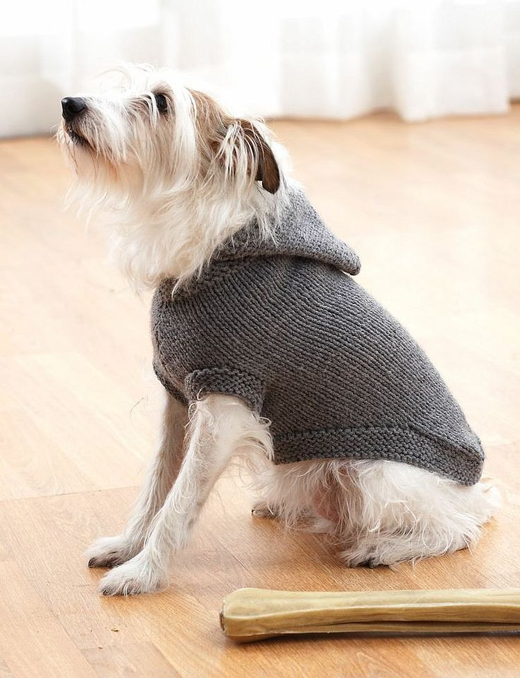 DIY Dog Hoodie
 Fair Isle Knitting Projects Experienced Knitters Will Adore