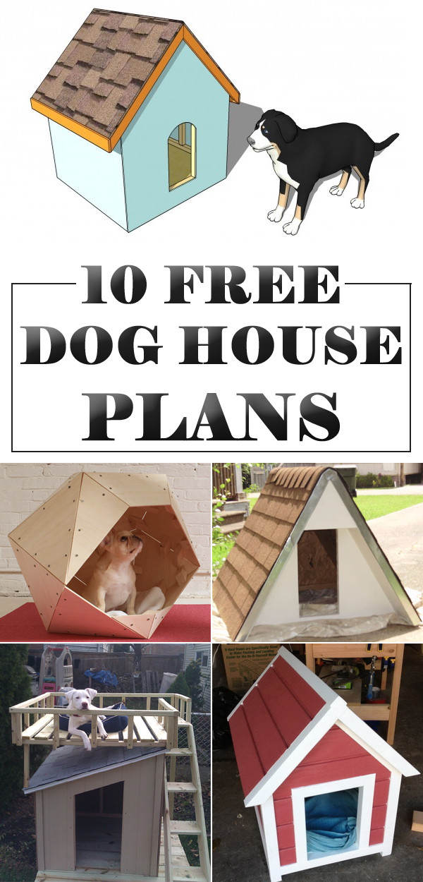 DIY Dog House Plans
 Dog House Plans Collection
