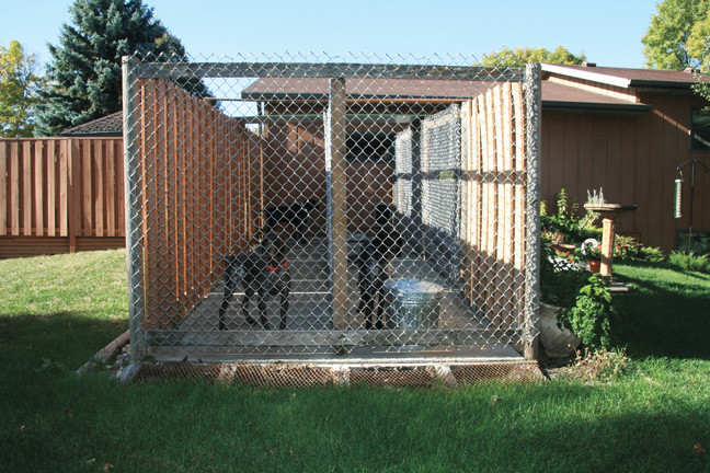 DIY Dog Kennel And Run
 How To Build the Perfect Dog Kennel Gun Dog Magazine