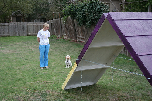 DIY Dog Obstacle Course
 DIY Dog Agility A Frame 7 Steps with
