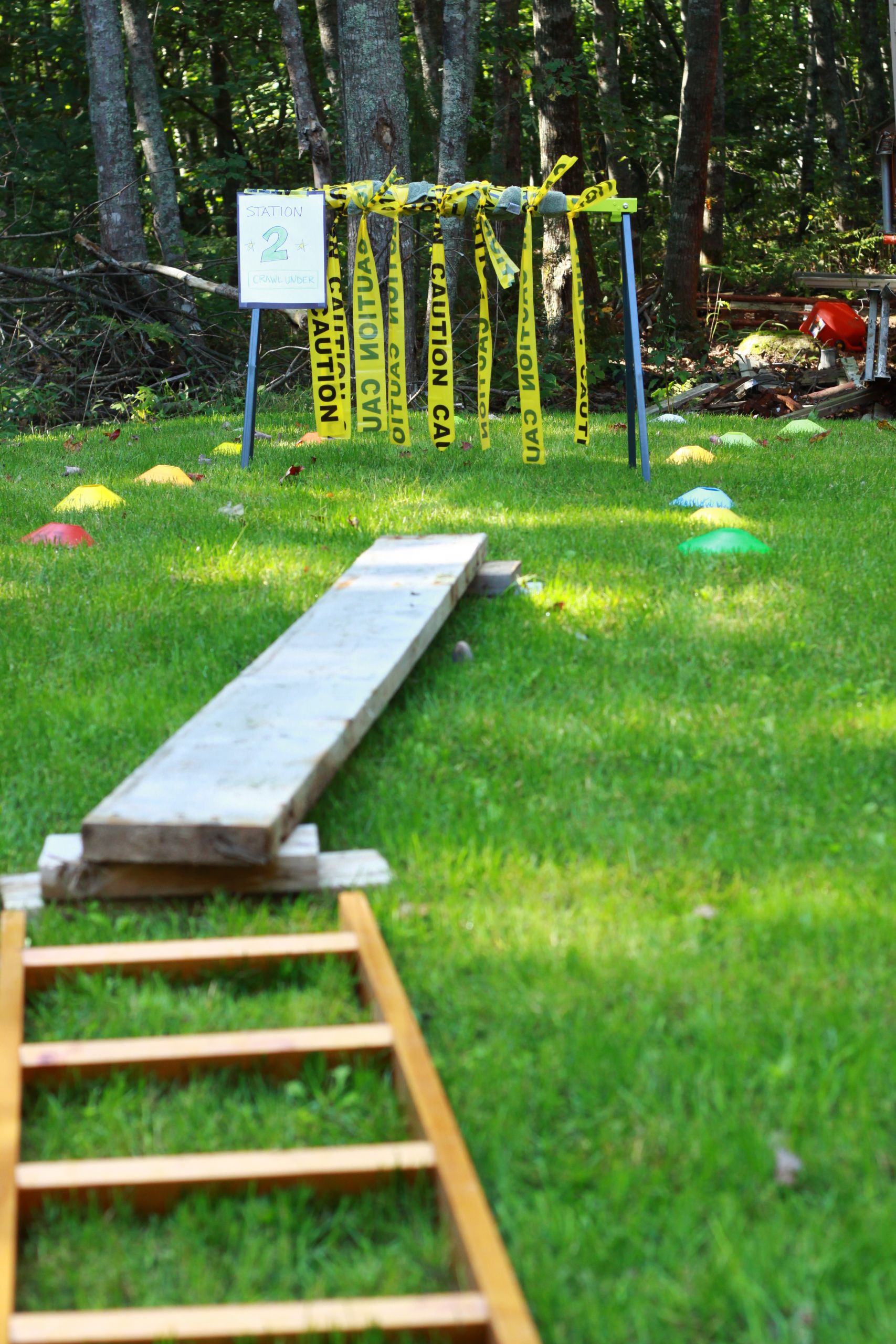 DIY Dog Obstacle Course
 obstacle course