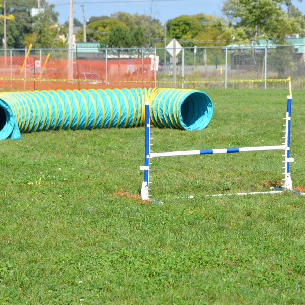 DIY Dog Obstacle Course
 How to Create a DIY Obstacle Course for Your Dog