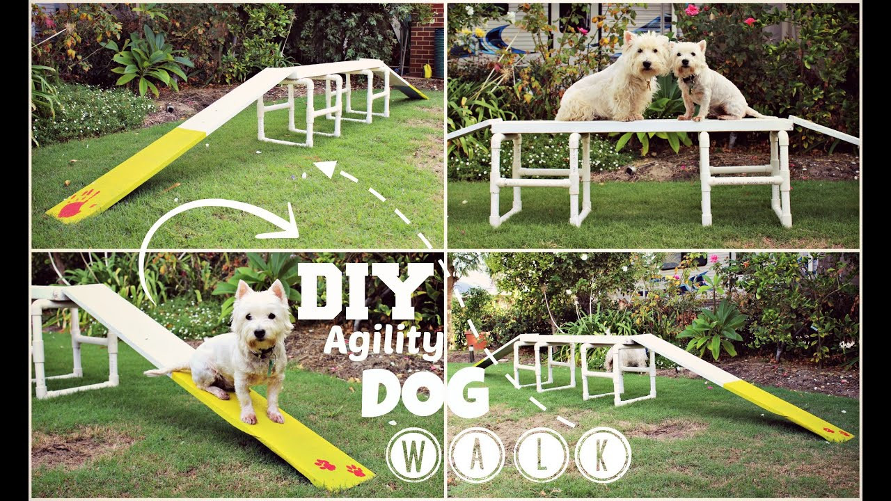 DIY Dog Obstacle Course
 How To DIY Agility Dog Walk