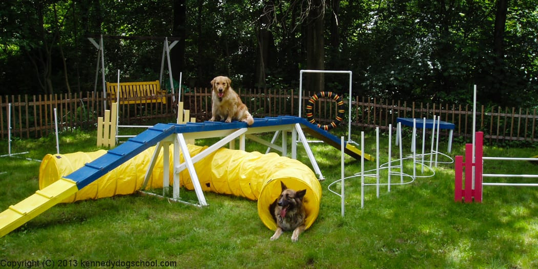 DIY Dog Obstacle Course
 18 Simple And Sweet Ways To Rediscover Your Childhood With