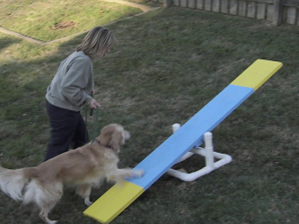 DIY Dog Obstacle Course
 How to Build a 3 Part Dog Agility Course how tos