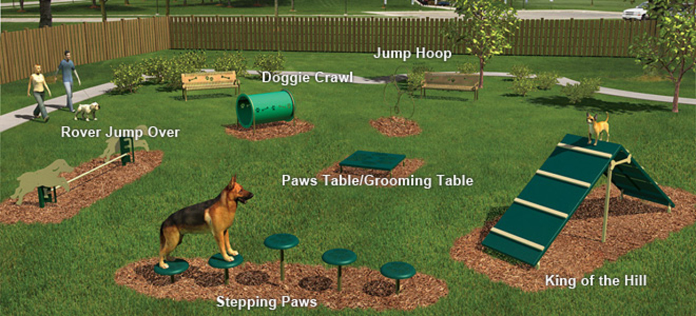 DIY Dog Obstacle Course
 Intermediate Dog Obstacle Course