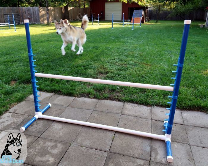 DIY Dog Obstacle Course
 9 DIY Dog Agility Courses Homemade Agility Obstacles For
