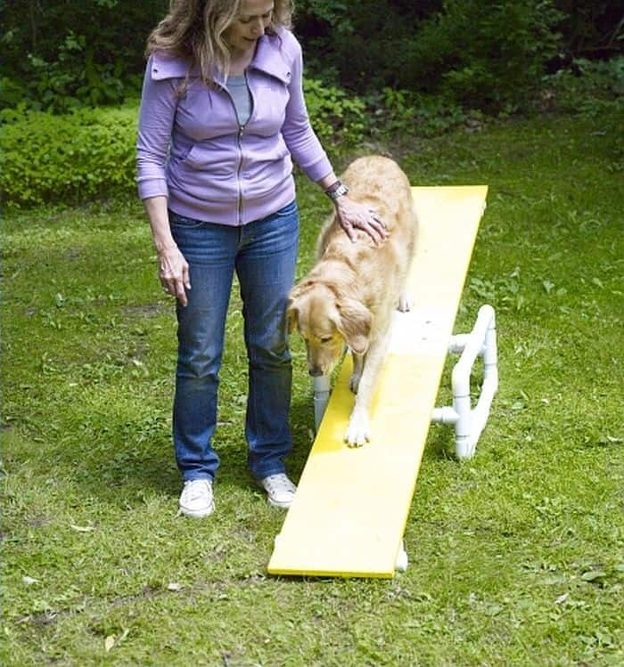 DIY Dog Obstacle Course
 9 DIY Dog Agility Courses Homemade Agility Obstacles For
