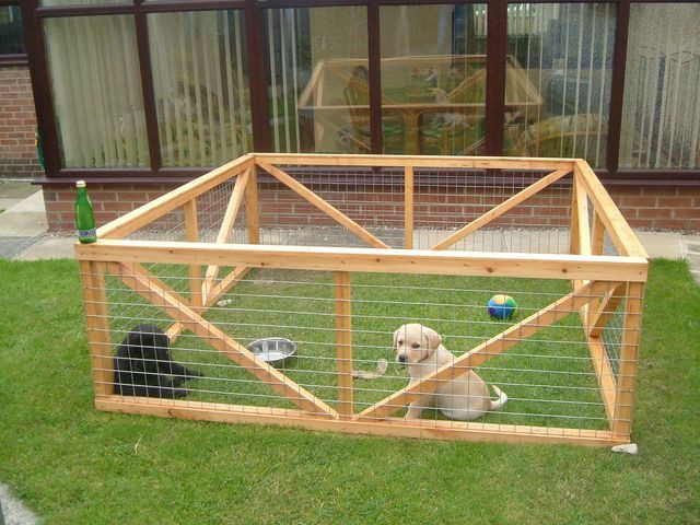 DIY Dog Pen
 This would be a great idea if you have a large backyard or