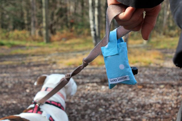 DIY Dog Poop Bag Dispenser
 Poop bag dispenser DIY Dog toys Pinterest