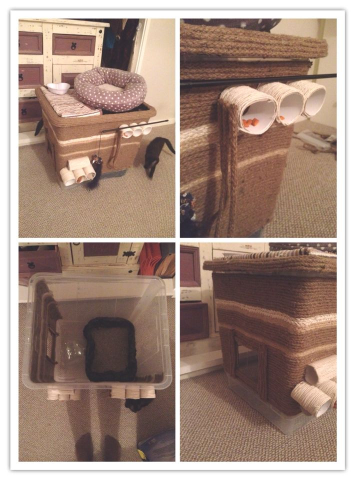 DIY Dog Proof Cat Feeding Station
 5 in 1 CAT CONDO Dog proof cat litter box Bed Food