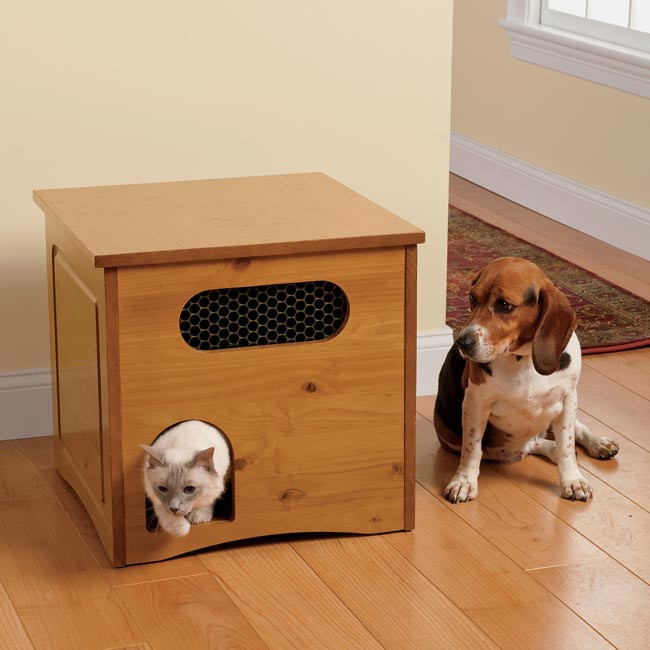 DIY Dog Proof Cat Feeding Station
 How To Keep That Pesky Dog Out The Cat s Food