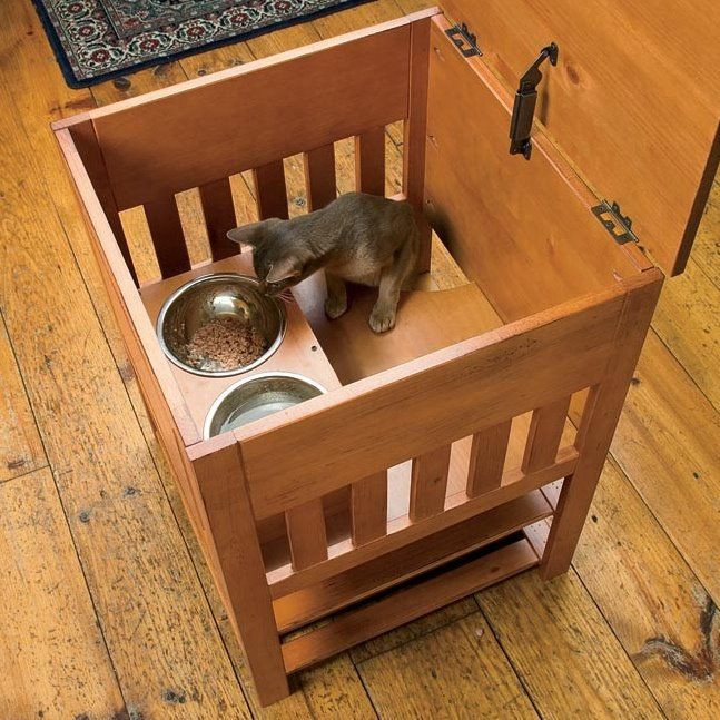 DIY Dog Proof Cat Feeding Station
 1174 best images about Pet Stuff DIY on Pinterest