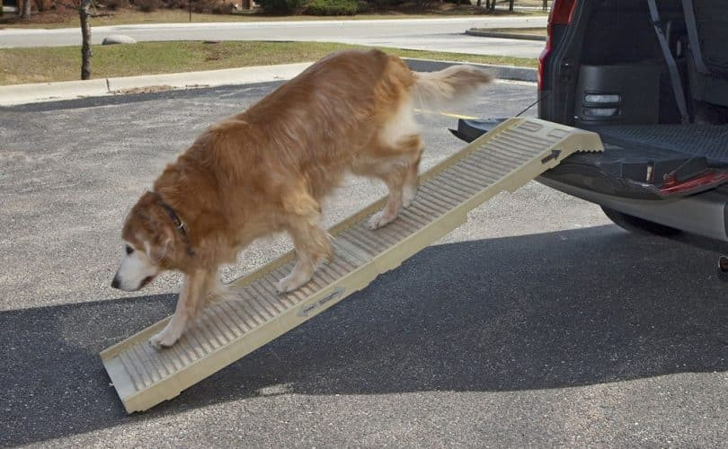 DIY Dog Ramp For Truck
 10 Fast & Easy DIY Dog Ramps for Cars and Trucks with