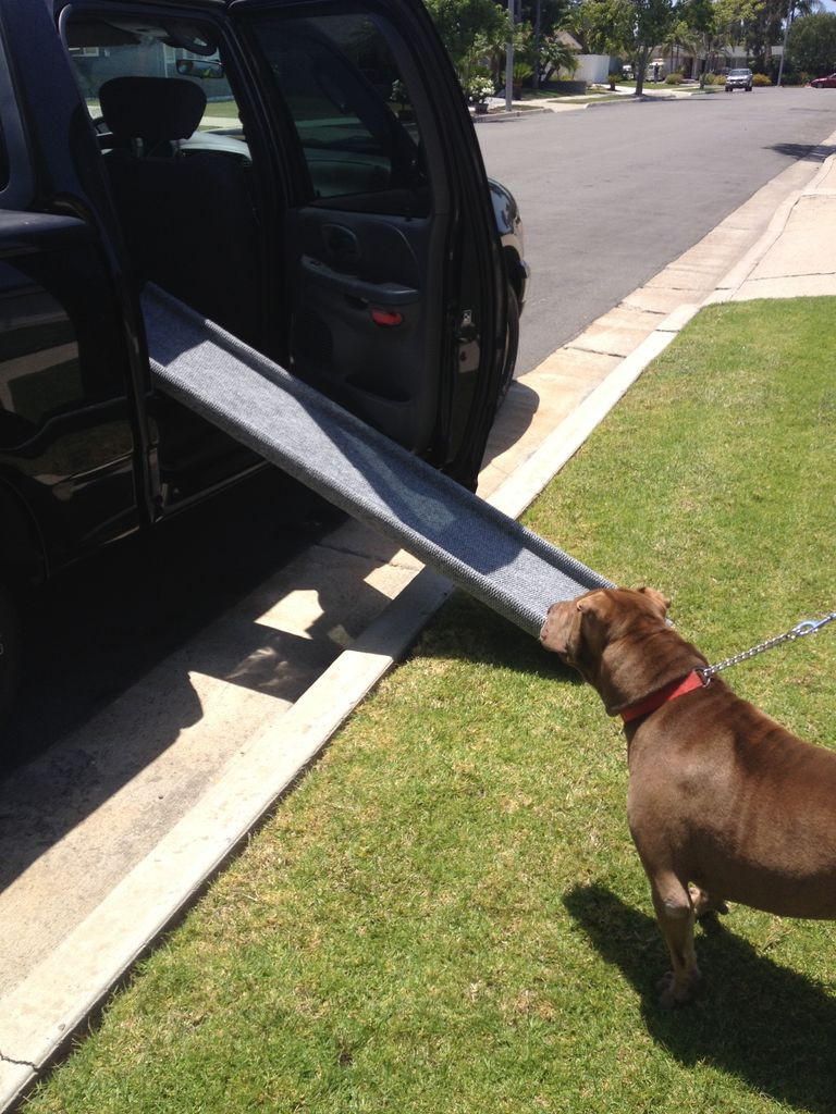 DIY Dog Ramp For Truck
 10 Fast & Easy DIY Dog Ramps for Cars and Trucks with