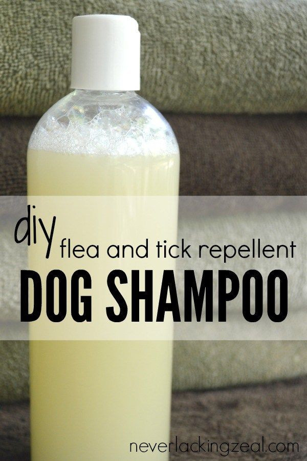DIY Dog Repellent Spray
 The 22 Best Ideas for Dog Repellent Spray Diy Home