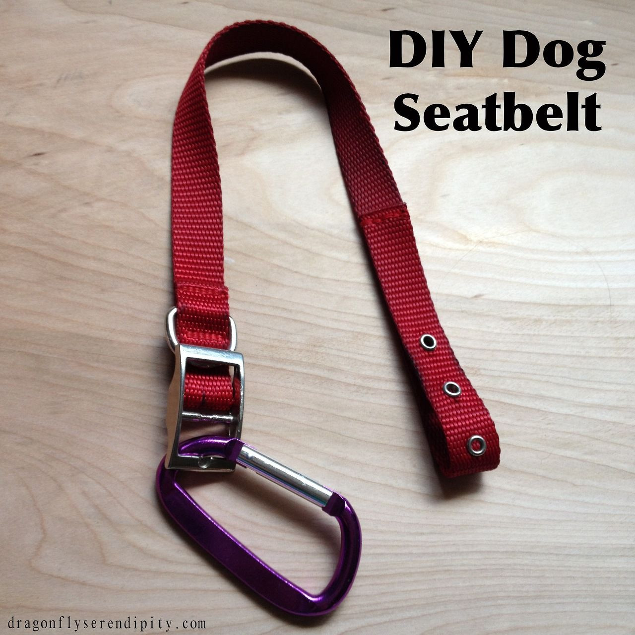 DIY Dog Seat Belt
 Things You Need Dog Collar Thread Sewing