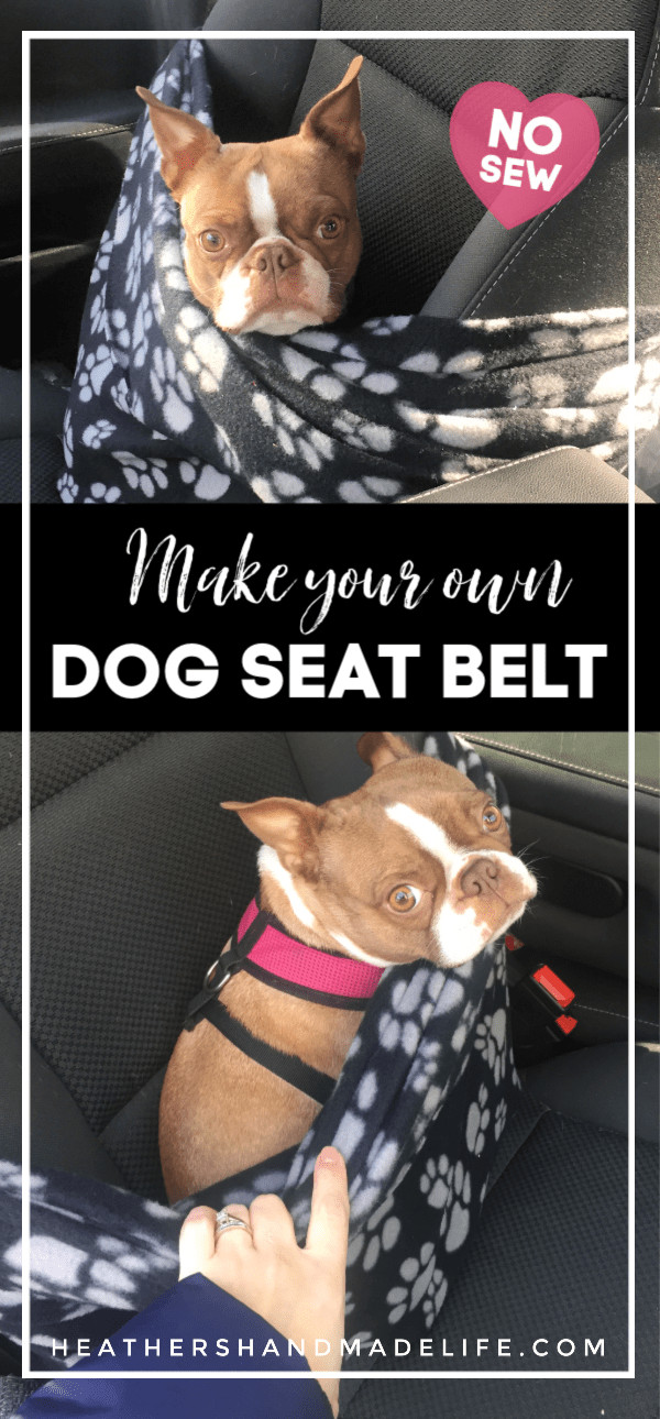 DIY Dog Seat Belt
 DIY dog seat belt With images