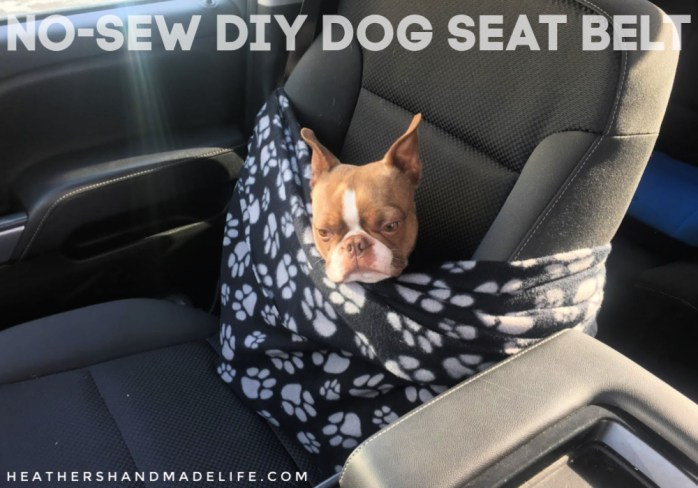 DIY Dog Seat Belt
 DIY dog seat belt