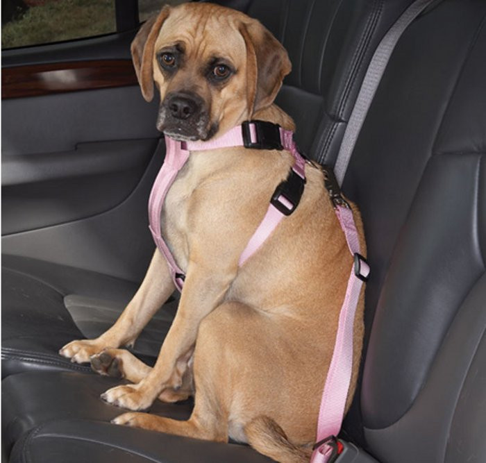 DIY Dog Seat Belt
 Harness Dog Car Safety Seat Belt