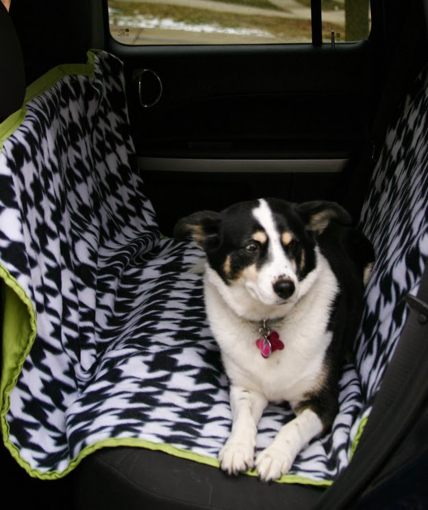 DIY Dog Seat Belt
 Raise a Green Dog DIY Pawsome homemade dog seat cover