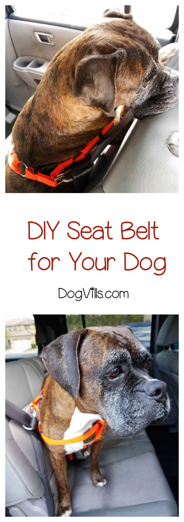 DIY Dog Seat Belt
 DIY Dog Seat Belt for Keeping Fido Safe in the Car