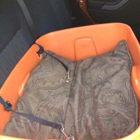 DIY Dog Seat Belt
 Homemade multi dog booster seat for car