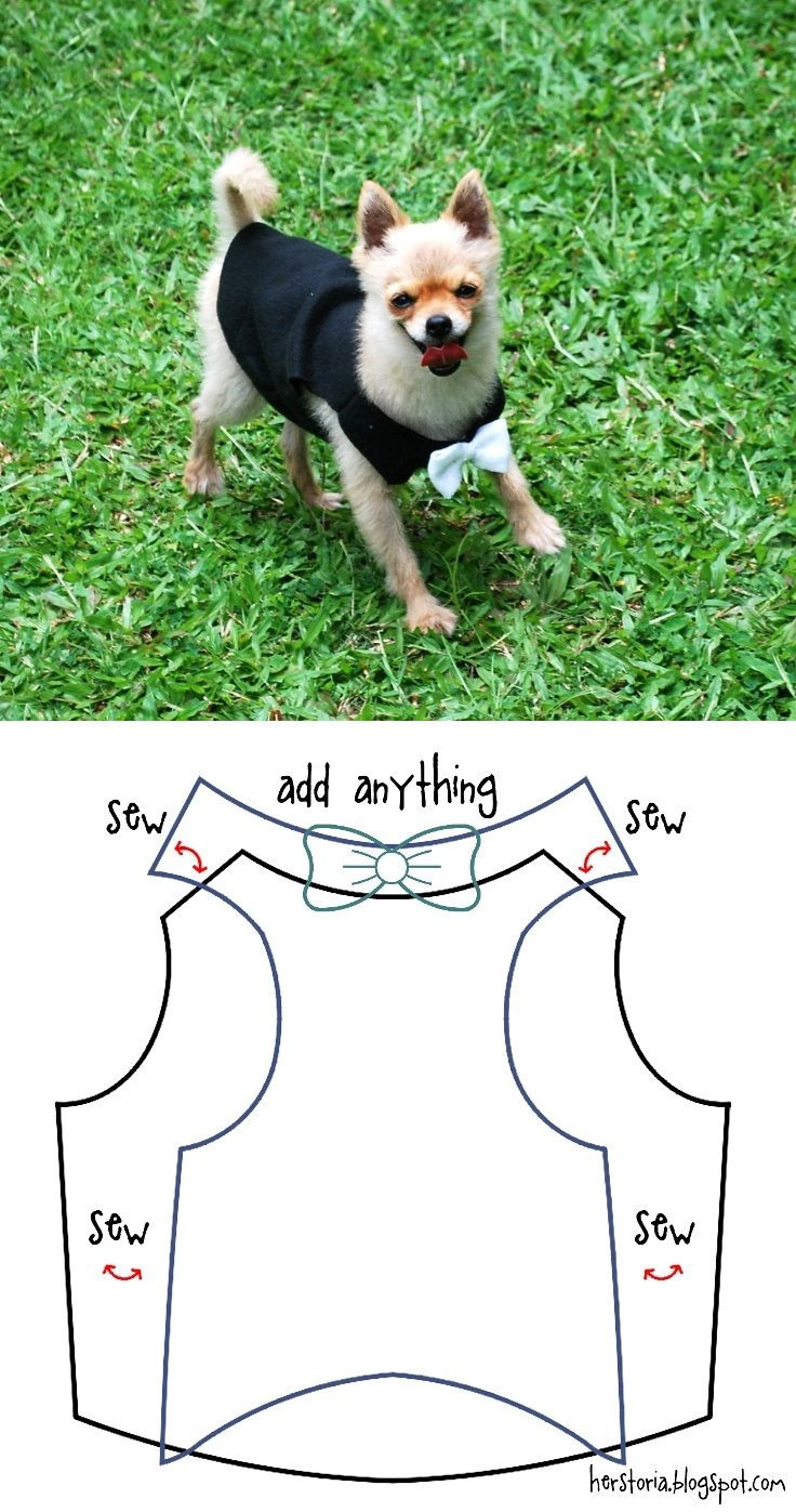 DIY Dog Shirts
 38 best images about DIY Dog Clothes on Pinterest