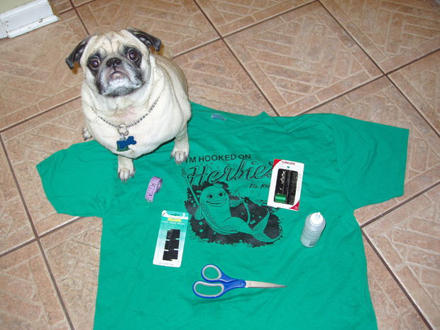 DIY Dog Shirts
 Doggie T Shirt