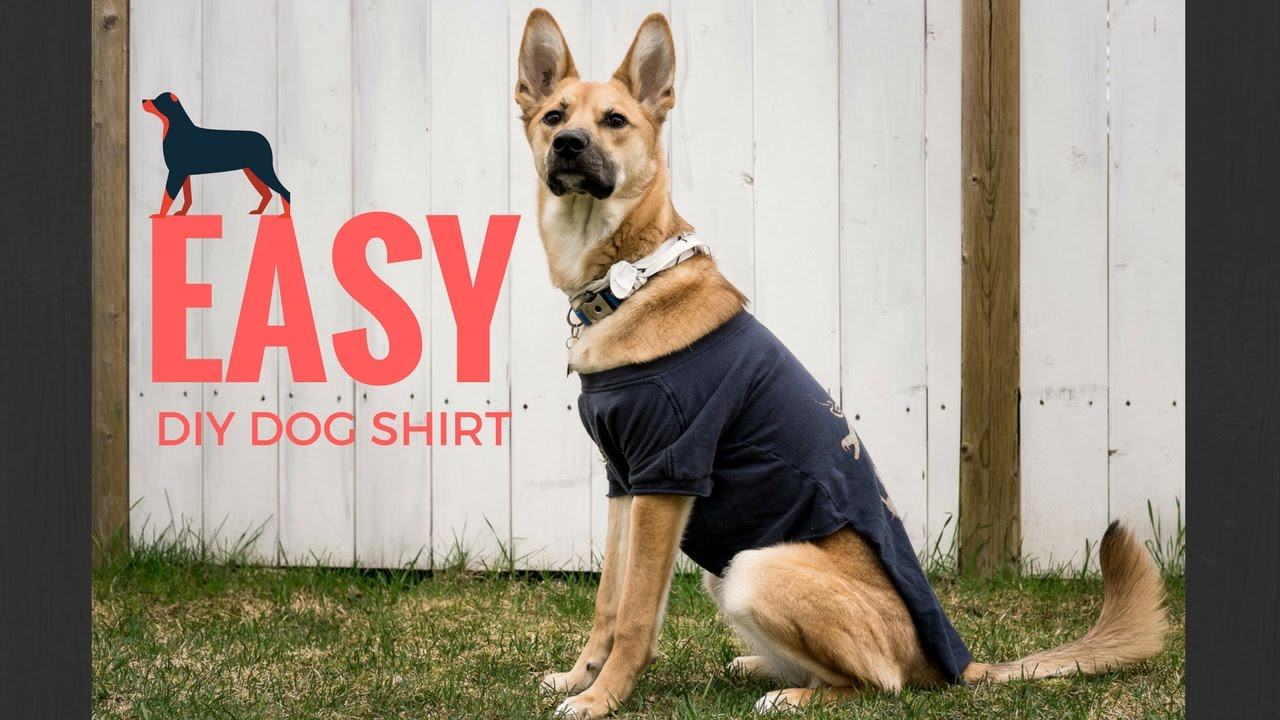 DIY Dog Shirts
 DIY DOG SHIRT