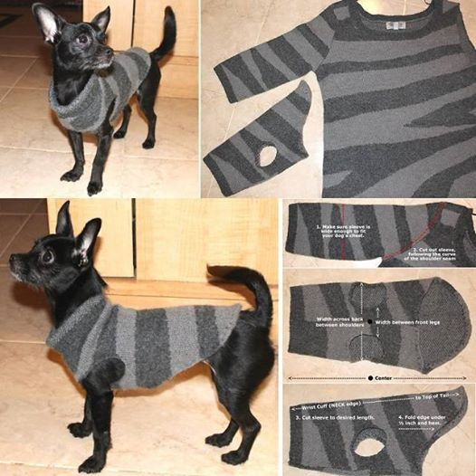 DIY Dog Shirts
 Wonderful DIY Pet Bed From Old Shirt & Sweater