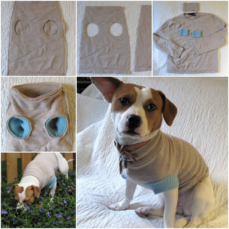 DIY Dog Shirts
 DIY Upcycle old Sweater into Cute Pet Clothes