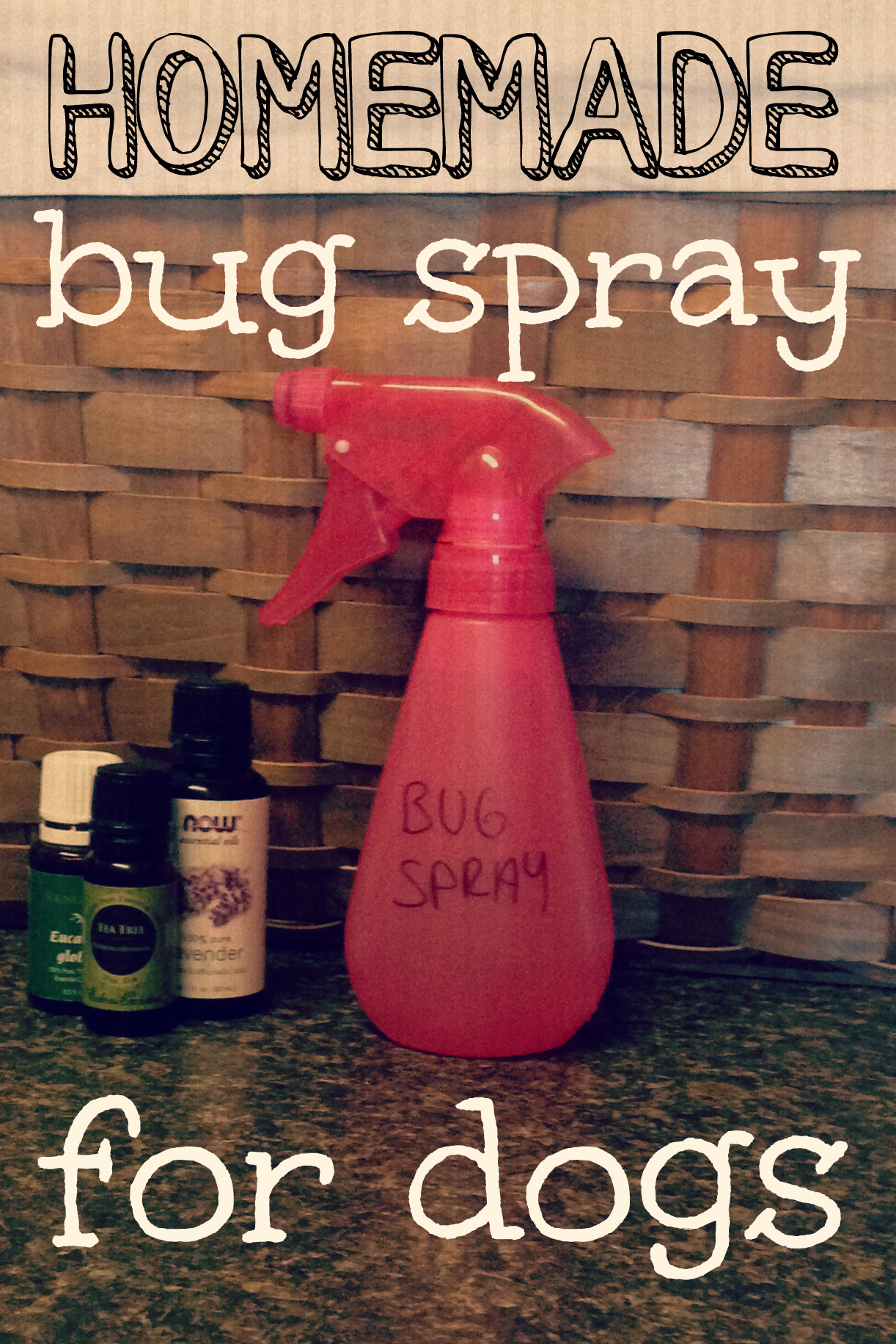 DIY Dog Spray
 Homemade Bug Spray for Dogs