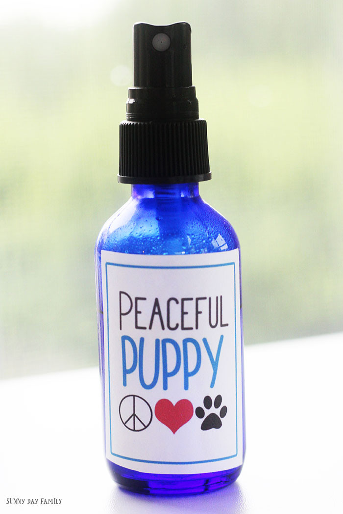 DIY Dog Spray
 DIY Dog Calming Spray with Free Printable Bottle Labels