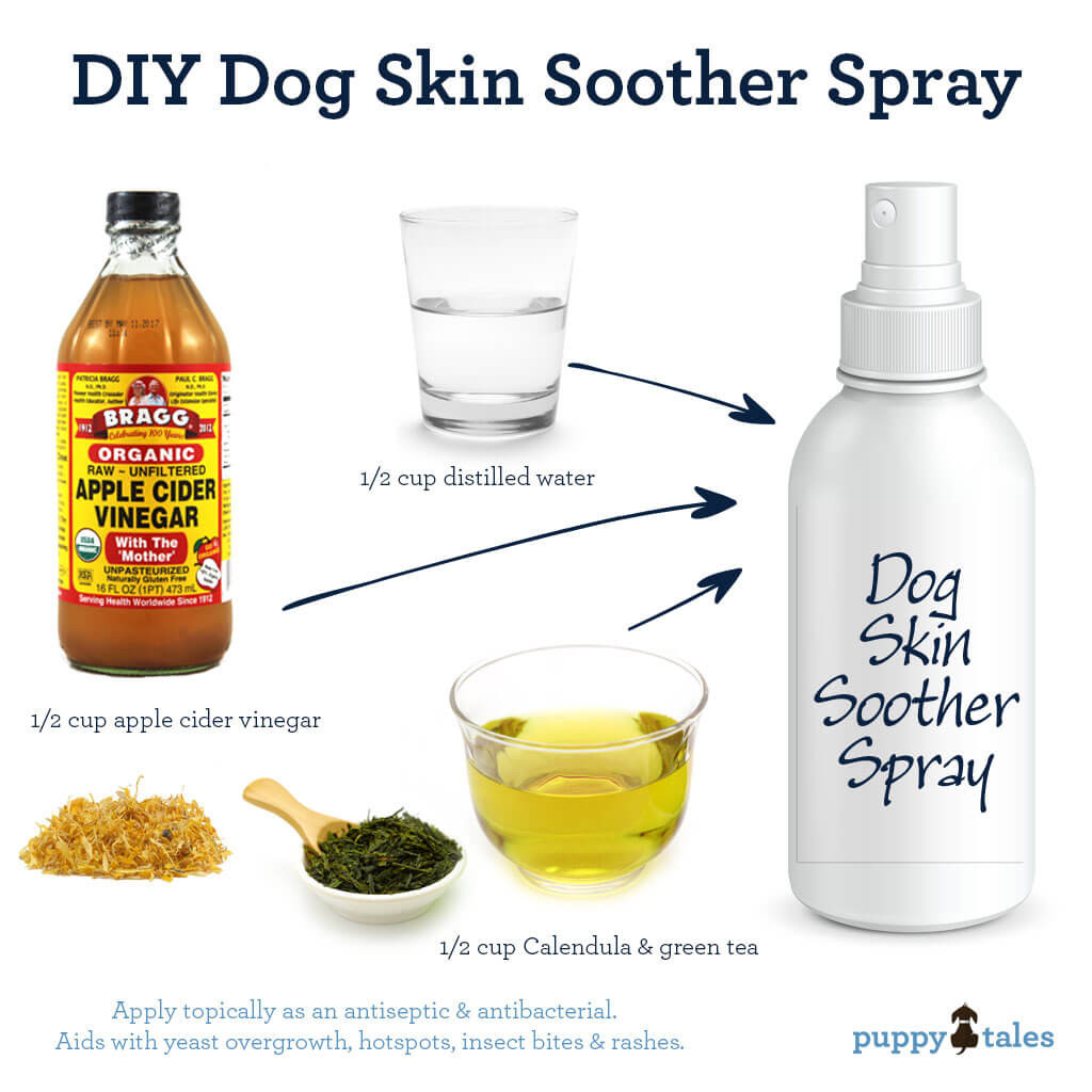 DIY Dog Spray
 Skin Savers – 5 natural ways to improve your Dog’s Pores