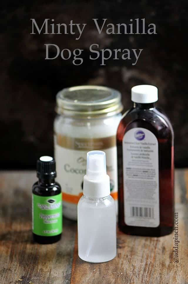 DIY Dog Spray
 Minty Vanilla Dog Spray Add a Pinch