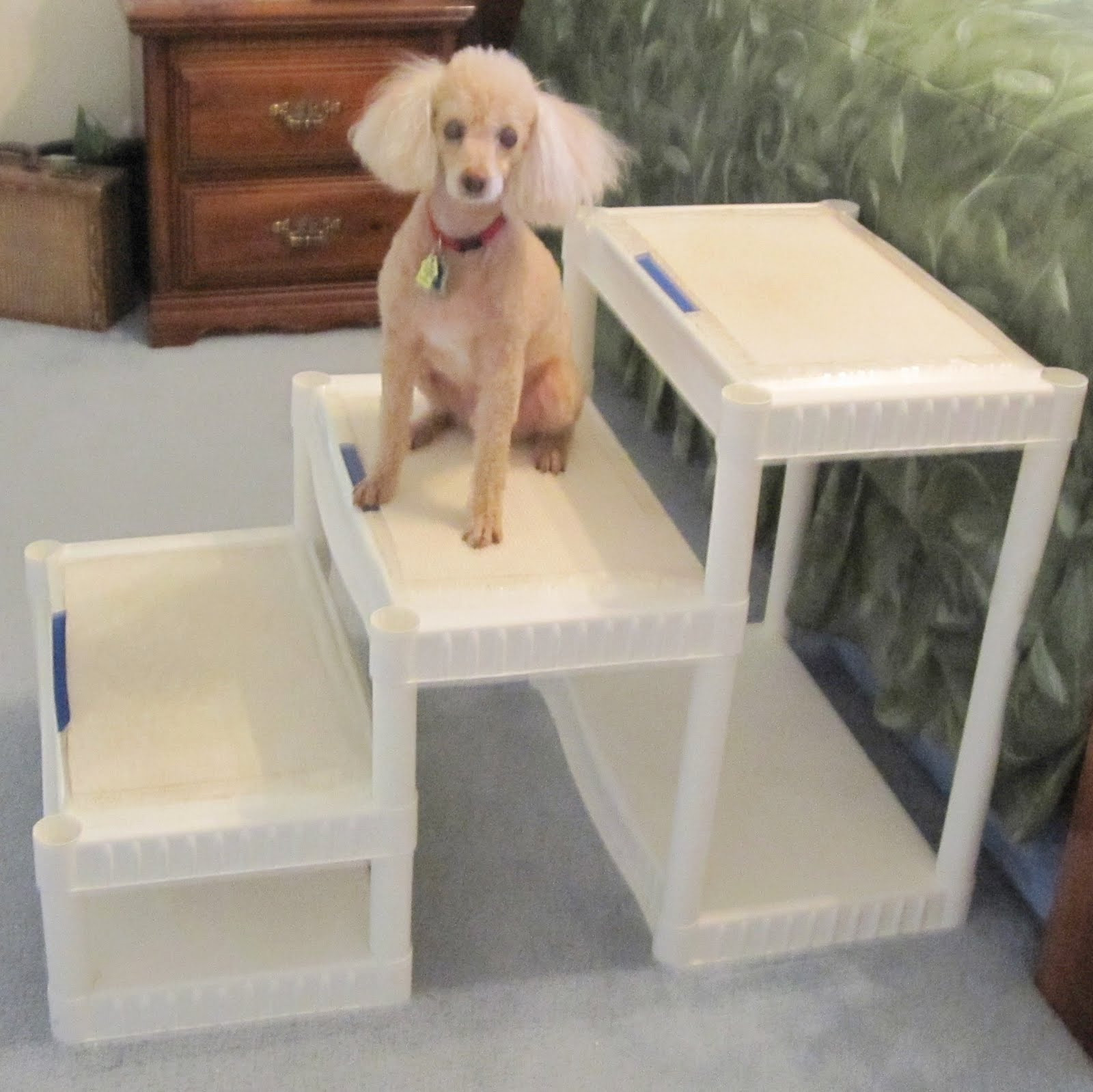DIY Dog Stairs
 Always Learning Stuff DIY Tall Dog Stairs for about $40