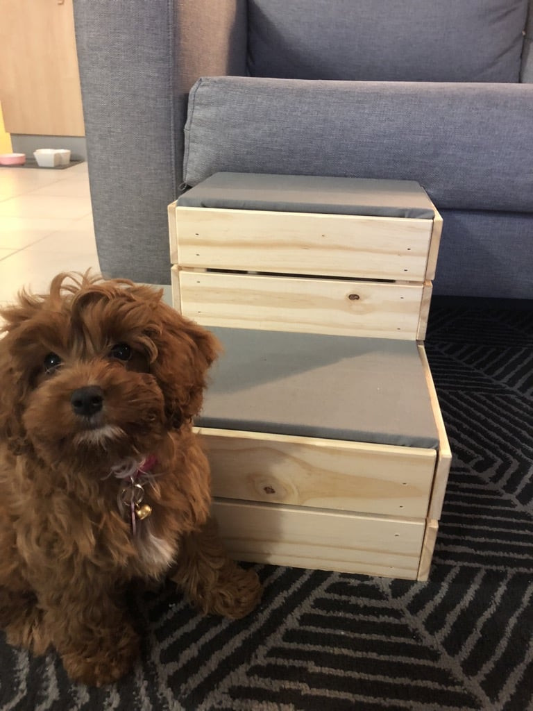 DIY Dog Stairs
 Small dog DIY these dog steps from IKEA crates IKEA Hackers
