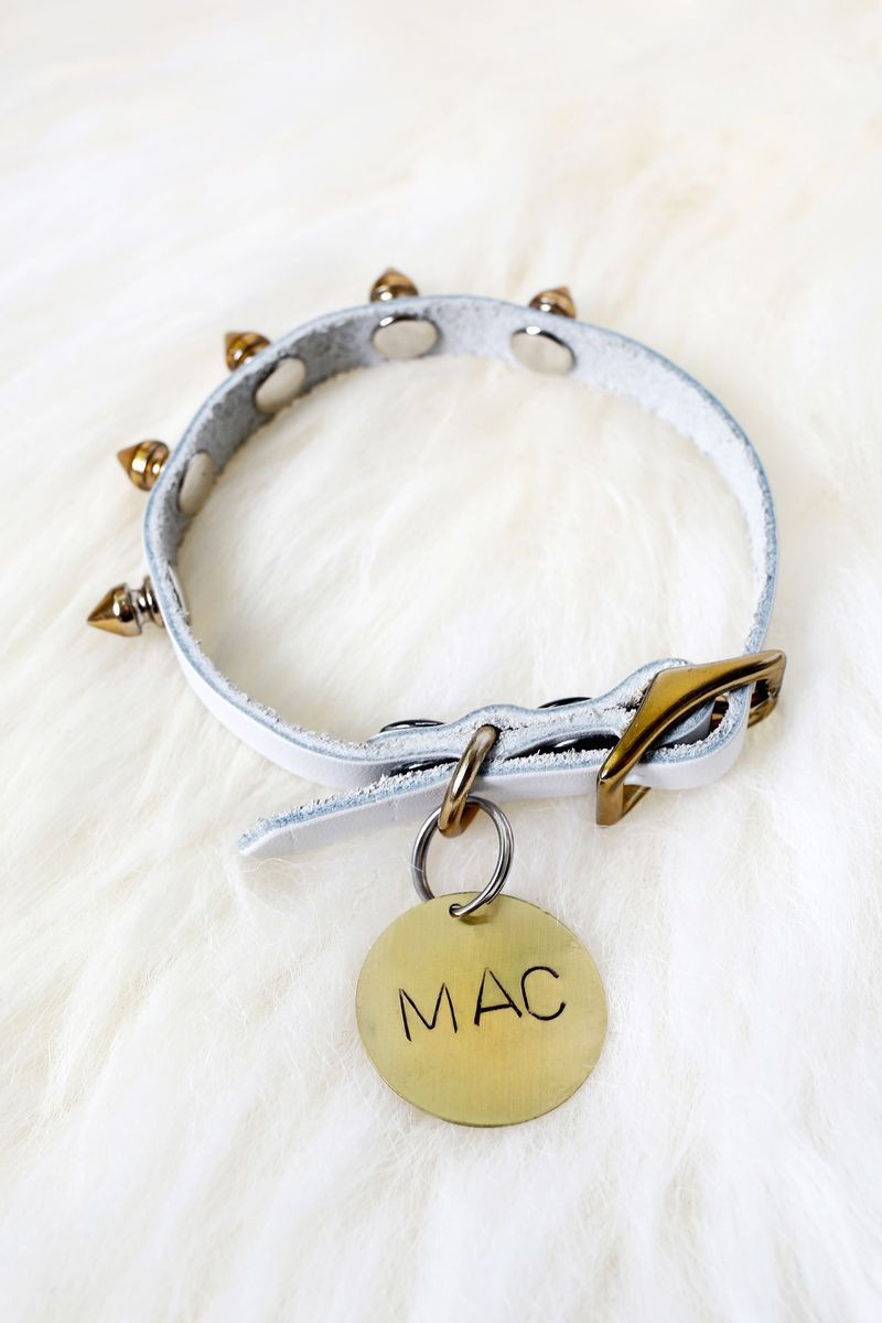 DIY Dog Tags
 Create a homemade dog tag for your favorite pup
