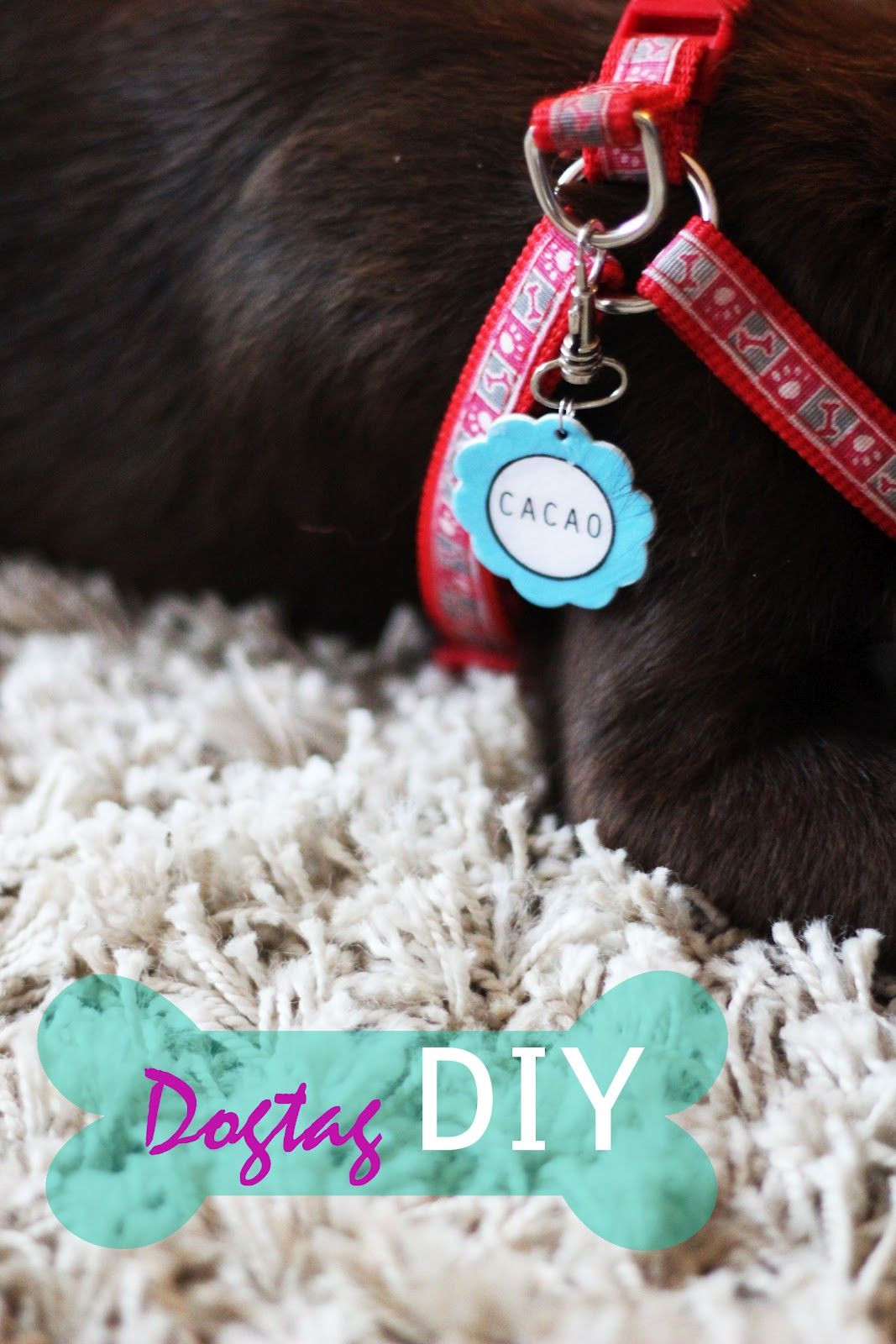 DIY Dog Tags
 DIY Dog Tag ly thing I would do different is hand