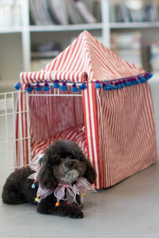 DIY Dog Tent
 16 DIY Best Ideas For Dogs