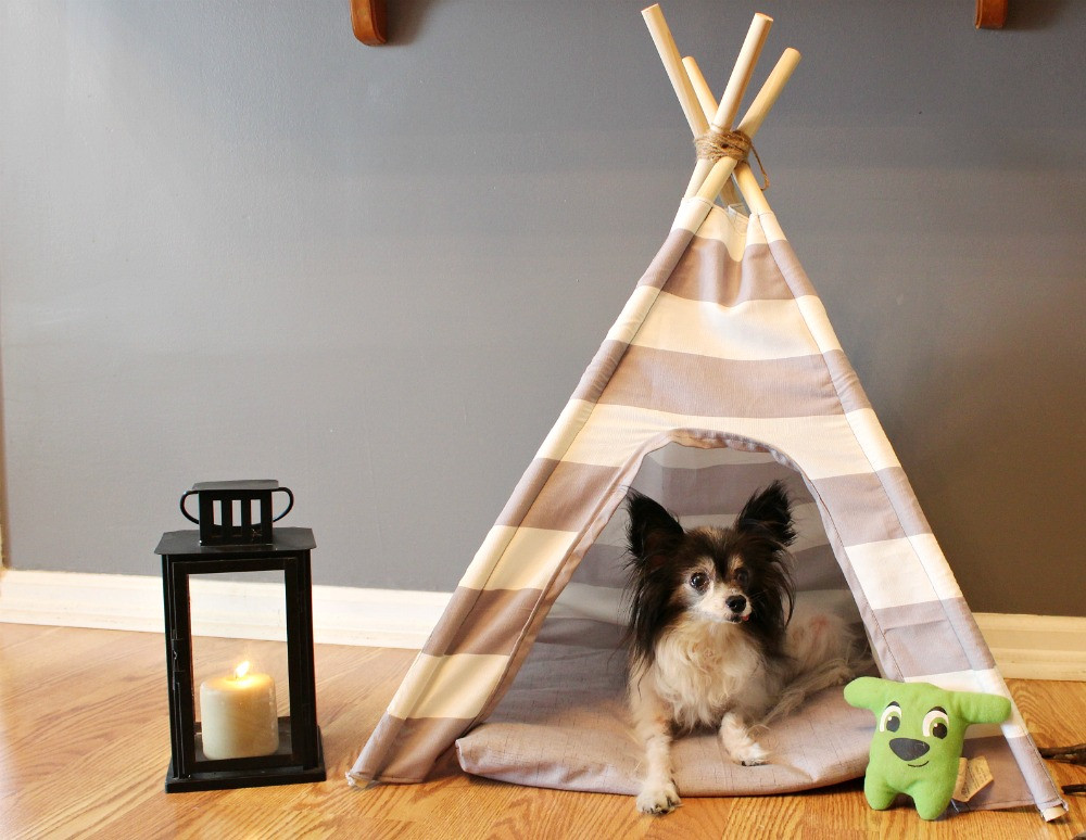 DIY Dog Tent
 DIY Dog Tent