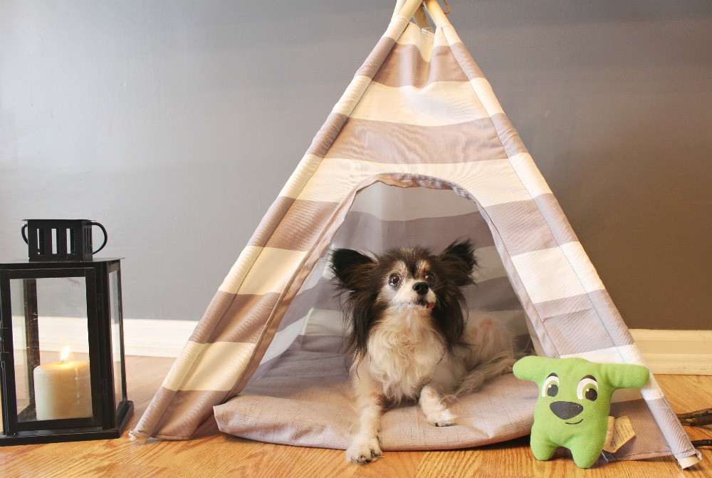 DIY Dog Tent
 DIY Dog Tent