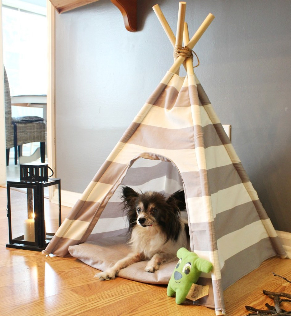 DIY Dog Tent
 DIY Dog Tent